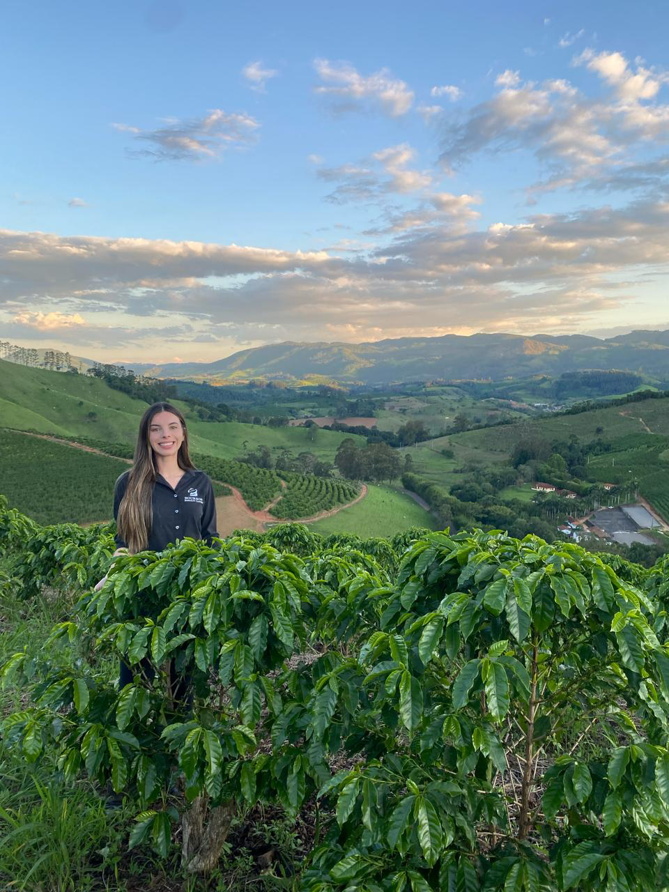 Agricultura Regenerativa nas Fazendas de Café