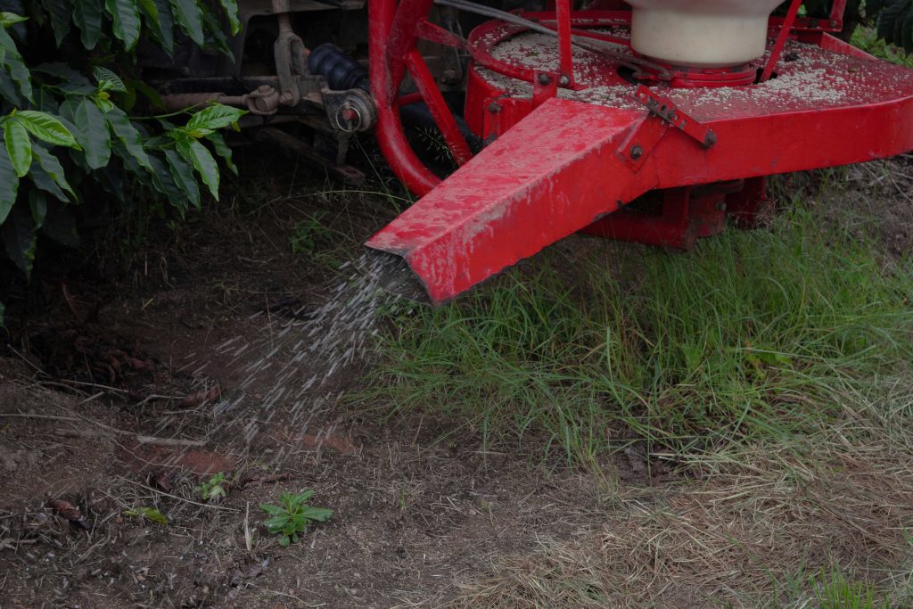 An overhead close-up view looking down into the red metal delivery chute of an agricultural fertilizer spreader moving between rows of lush, green coffee plants. Small fertilizer granules are visible scattered on the red surface of the equipment.