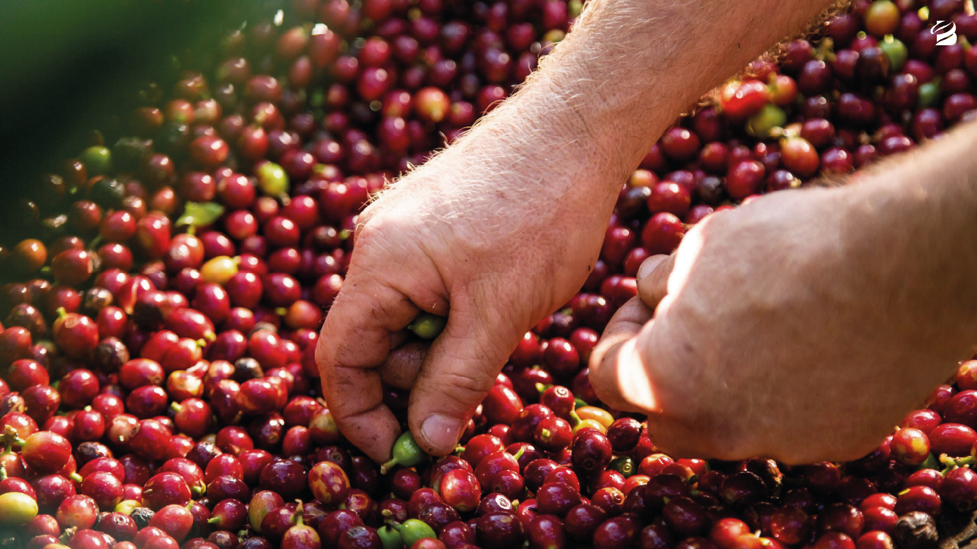 Preparativos para uma boa colheita