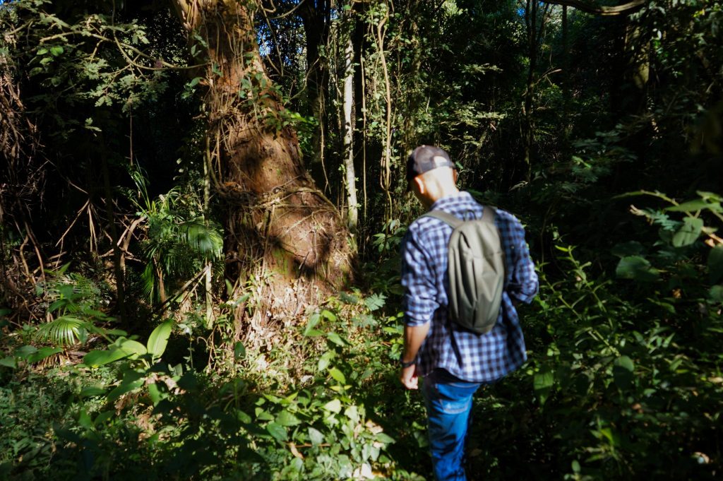Um pesquisador ou monitor ambiental usando uma mochila caminha por uma vegetação densa e preservada da Mata Atlântica
