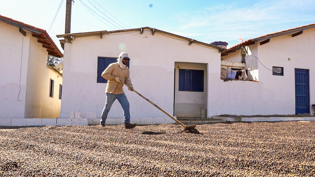 How fermentation can elevate the potential of specialty coffee 3 Fementation 12