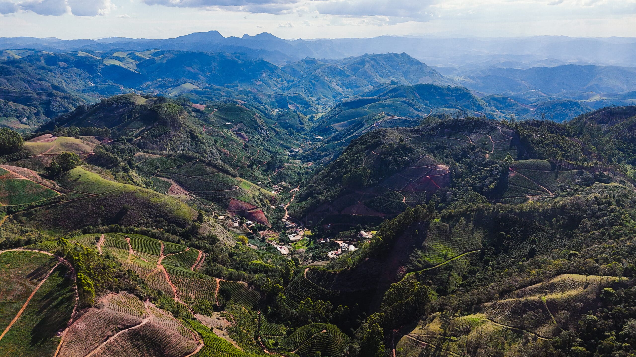 Bourbon Specialty Coffees earns EcoVadis seal: A milestone in sustainable responsibility for brazilian coffee