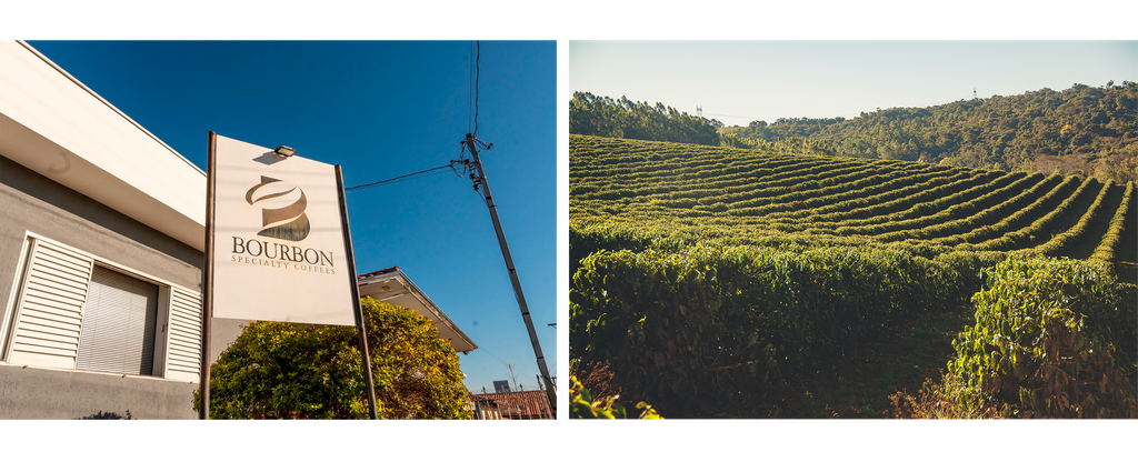 Cerrado Mineiro: O que acontece quando terroir e tecnologia se juntam 3 Sem Titulo 2