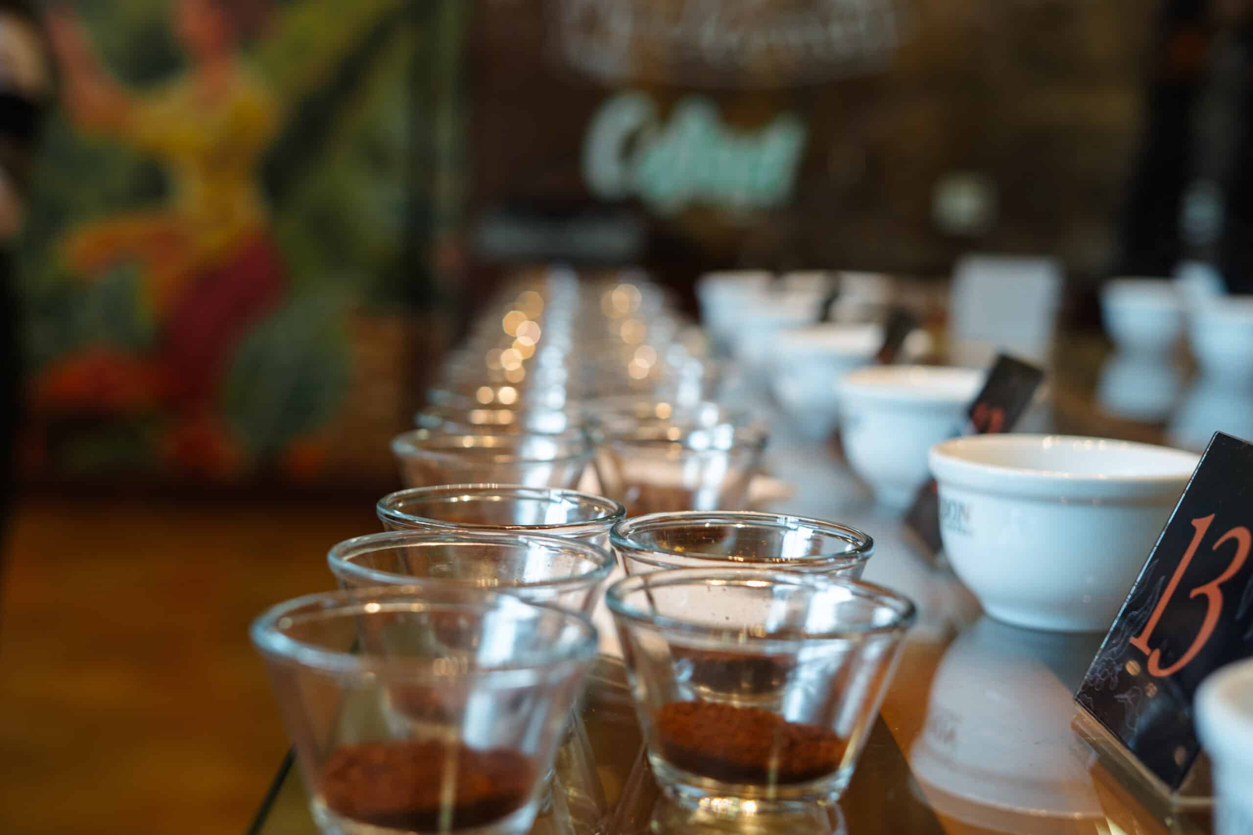 Análise Sensorial: a prova que define a qualidade do café
