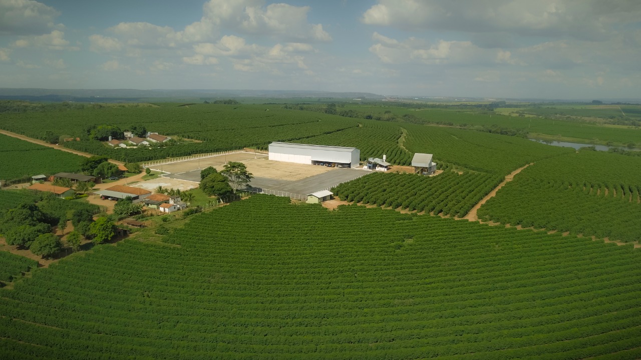 Cerrado Mineiro: O que acontece quando terroir e tecnologia se juntam